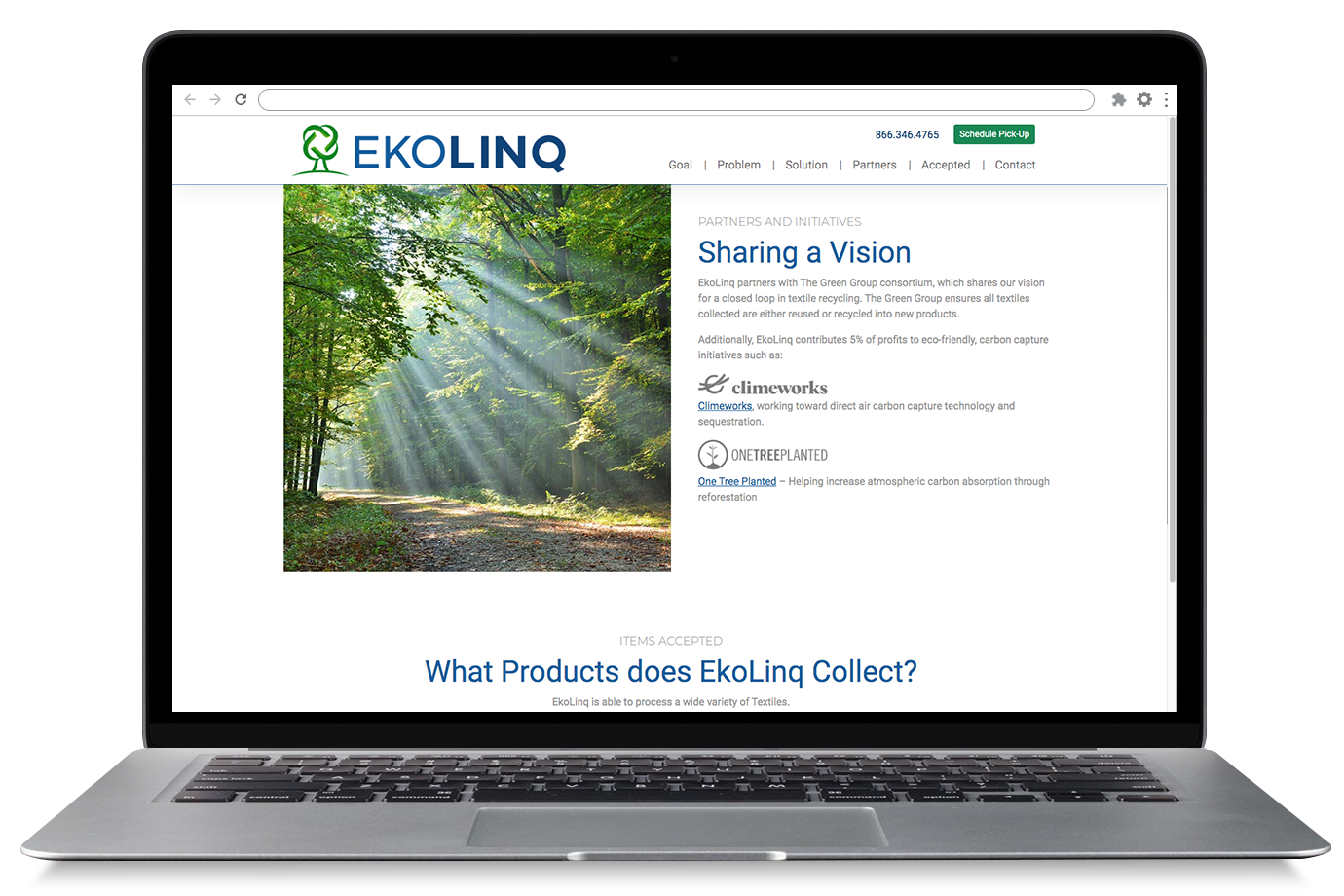 Ekolinq Website