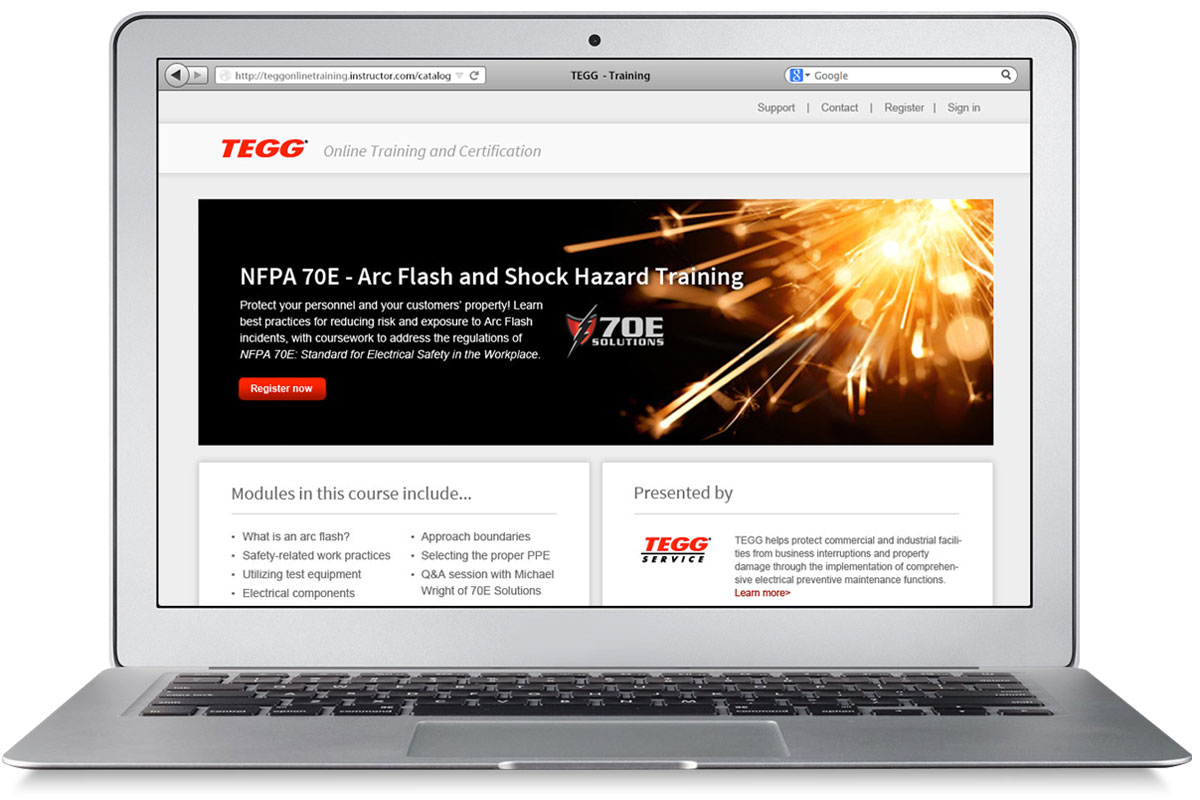 TEGG Online Training